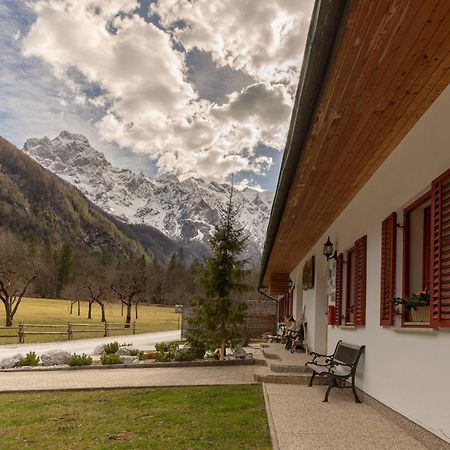 Hisa Ojstrica Bed & Breakfast Solčava Eksteriør bilde