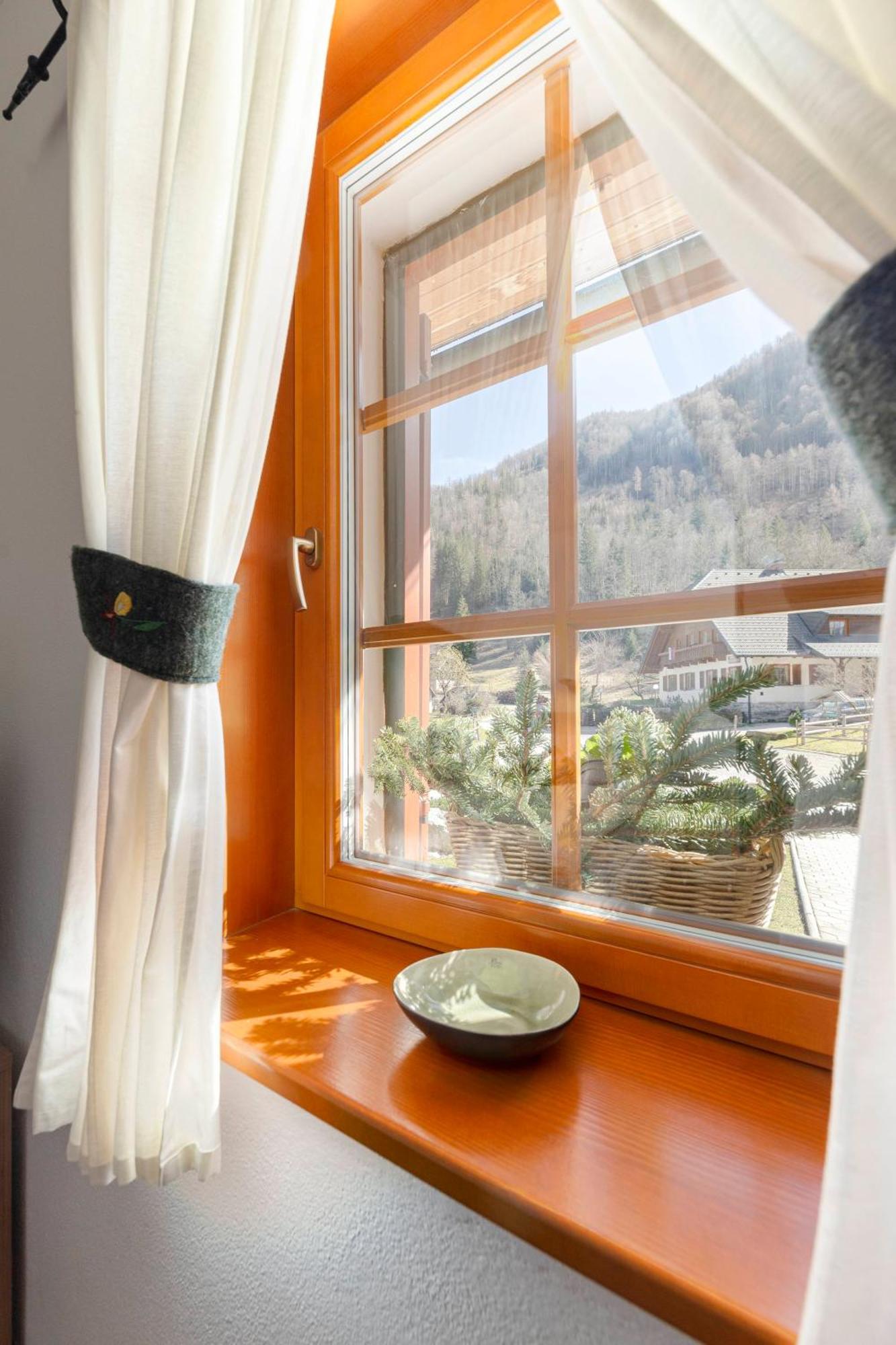 Hisa Ojstrica Bed & Breakfast Solčava Eksteriør bilde